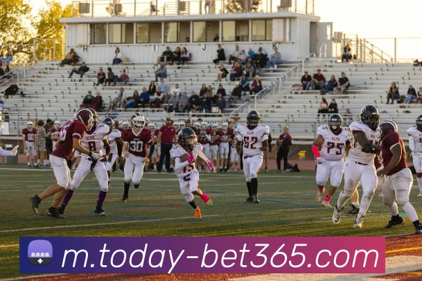 App Interface Preview